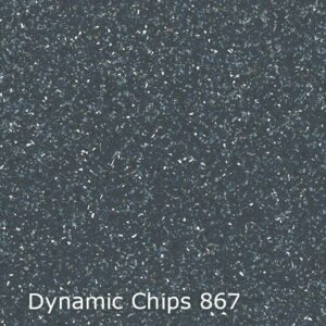 Dynamic Chips