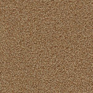 Traffic steppe 0495 | 400cm