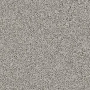 Dallas lichtgrijs 0165 | 400cm