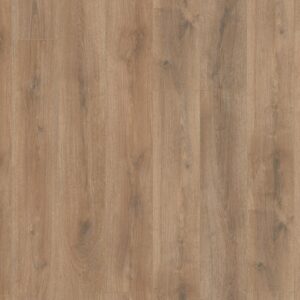 Sunny oak natuur eiken