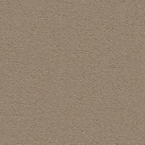 Charlotte zand 0410 | 400 cm