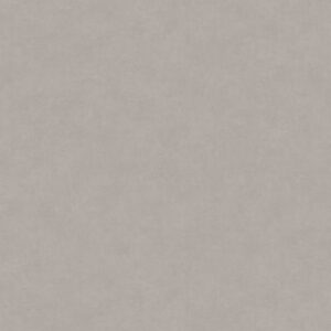 Supreme 50 Odin beton grijs 8500 | 400cm