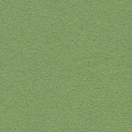 bulletin board – 2213 baby lettuce